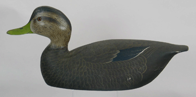 A Ward Brothers Bishop's Head Club black duck went for $97,750.