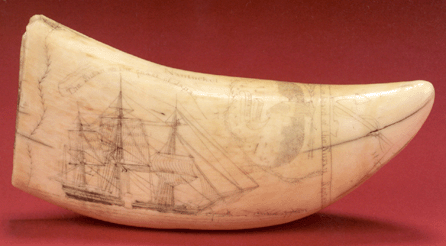 Among the first pieces of scrimshaw to be studied, Susan's teeth, all engraved by Frederick Myrick aboard the Susan of Nantucket in 1828 and 1829, enjoy iconic status among scrimshaw collectors. Long known to the cognoscenti, this choice example, which is dated 1829 and has a well-documented history of ownership and was estimated at $100/150,000, went by phone to Cape Cod dealers Alan Granby and Janice Hyland for $200,600, a record at auction for a Susan's tooth.