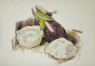 Charles Demuth, "Still Life with Eggplant and Summer Squash,†circa 1927, opaque and transparent watercolor over graphite on wove paper; The Ella Gallup Sumner and Mary Catlin Sumner Collection Fund. Courtesy Demuth Museum, Lancaster, Penn.