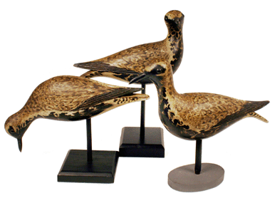 "Elmer Crowell at his best†is how this trio of black-bellied plovers has been described. Commonly known as the "Dust Jacket†birds due to their appearance on the covers of books, they were made circa 1900.