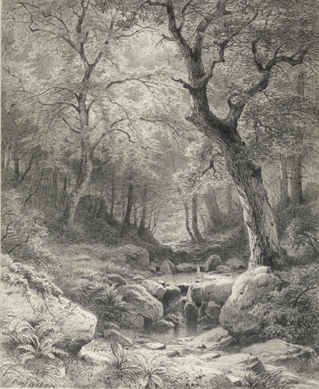 Paul Weber, "Forest Scene,†circa 1860, pencil on paper, acquired by William Walters, the Walters Art Museum, Baltimore. 