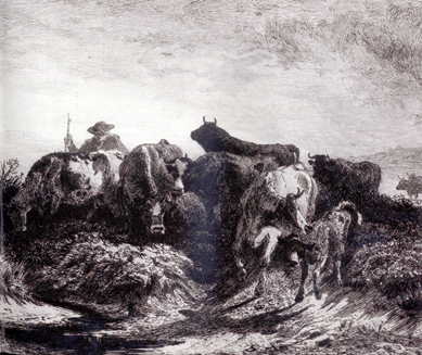 "Return of the Herd (small plate),†alternately titled "The Coming Storm,†was painted in 1875 and Moran created an etching of it that same year. The painting of a herdsman and his cattle, near the Brandywine or Wissahickon, won a medal of excellence in Philadelphia's Centennial Exhibition in 1876; the etching was among his most popular.