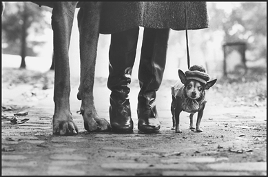 Elliott Erwitt, "New York,†1974. ©Elliott Erwitt/Magnum Photos