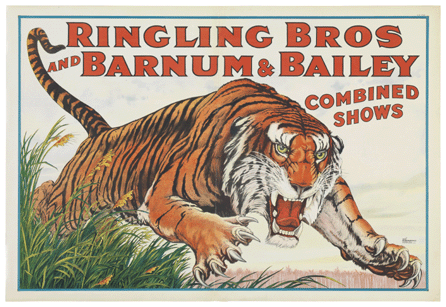 Charles Livingston Bull (1874‱932) captured the thrill of the circus with his iconic image of a ferocious leaping tiger for Ringling Bros and Barnum & Bailey Combined Shows. The poster was designed in 1915 and used continuously to 1928. The Strobridge Lithographing Company, one sheet, 1928 edition; Cincinnati Art Museum, gift of the Strobridge Lithographing Company.
