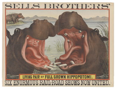 Columbus, Ohio-based circus Sells Brothers advertised its "Living Pair of Full Grown Hippopotami†in this 1882 one-sheet by the Strobridge Lithographing Company. Cincinnati Art Museum, gift of the Strobridge Lithographing Company.