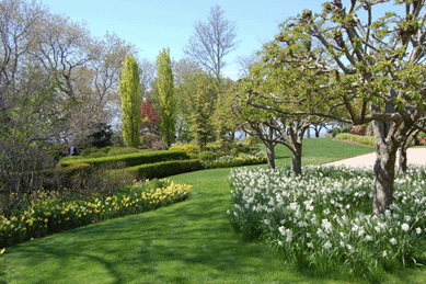 A small portion of the Fisher Island garden. Photo courtesy The Garden Conservancy.