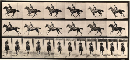 In one of his many experimental, stop-action photographic series, "Animal Locomotion,†Plate 632, 1887, Eadweard Muybridge captured the gait of a handsome horse from several perspectives. This image, resulting from photographs of horse movements using a bank of cameras rather than a single camera, is from Muybridge's pioneering publication Animal Locomotion. 