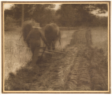 The man-behind-the-plow theme has been a favorite of painters and photographers for years. In "Farmer tilling the land with horse,†circa 1910, photographer William Gordon Shields captured the hard labor of the horses and the farmer in carrying out this age-old agrarian ritual.