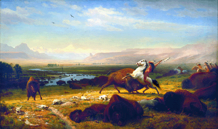 As artist Albert Bierstadt put the finishing touches on "The Last of the Buffalo,†circa 1880, the people of the United States learned that the last of the great buffalo herds had indeed been nearly extinguished. Hunters still wandered the plains; however, it was soon confirmed by the US Army that the great herds that had once covered the prairie had all but vanished.