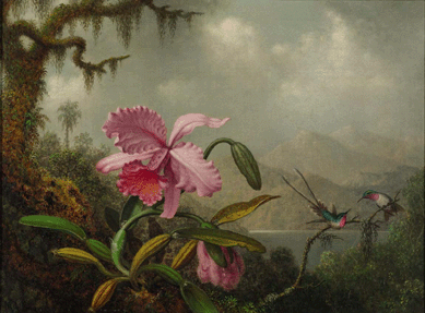 Martin Johnson Heade, "Orchids and Hummingbirds,†circa 1875‹0, oil on canvas, 15 by 20 inches, signed M.J. Heade lower left, sold for $1,986,500.