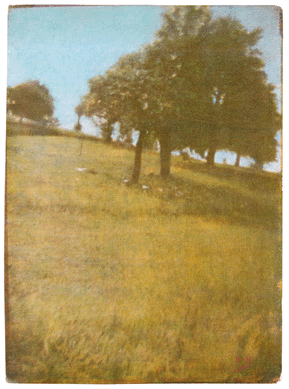 Heinrich Kuehn, "Meadow With Trees,†1897.