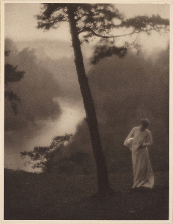 Clarence Hudson White, "Morning,†1905, v. 23, July 1908. Walter H. Kimball Fund. 