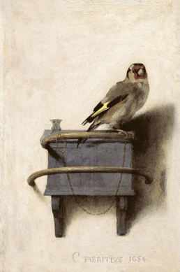 Carel Fabritius, Rembrandt's most gifted student, utilized fluent brushwork to create arguably the most famous bird in Dutch art history, "The Goldfinch,†in 1654. The nearly life-size depiction was likely conceived as a trompe l'oeil work; it measures 13¼ by 9 inches.