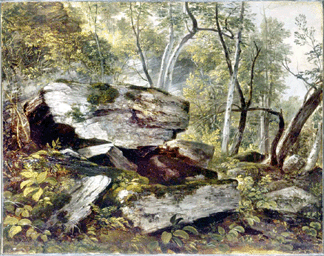 Asher B. Durand (1796‱886), "Study from Nature: Rocks and Trees,†circa 1856, oil on canvas, 21 by 16½ inches. Gift of Lucy Maria Durand Woodman.