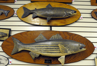 A collection of more than 30 carved fish wall plaques by Winthrop, Maine carver Lawrence Irvine attracted a great deal of attention. Leading the way was a large striped bass trophy carving measuring 4 feet in length, bottom. Dated 1969, it sold for $10,350. 