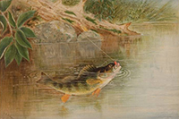 Gone Fishing: “Fish Stories” At Crystal Bridges Museum