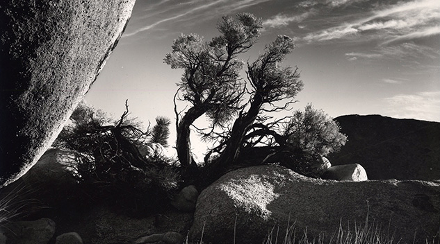 Master Photographer　Brett Weston Brett Weston Master Photographer 1989 1st Ed Stated