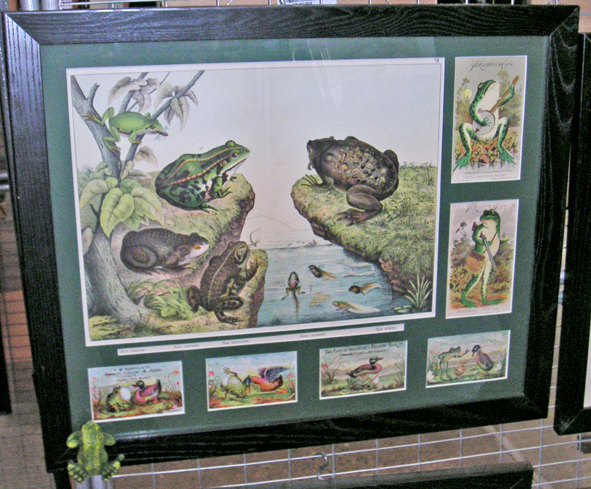 This frog collage from Chimney Corner Antiques, Newburyport, Mass., was composed of an early book plate and trade cards. The figural frog climbing up the outside of the frame on the bottom right-hand corner was the pièce de résistance of the composition.
