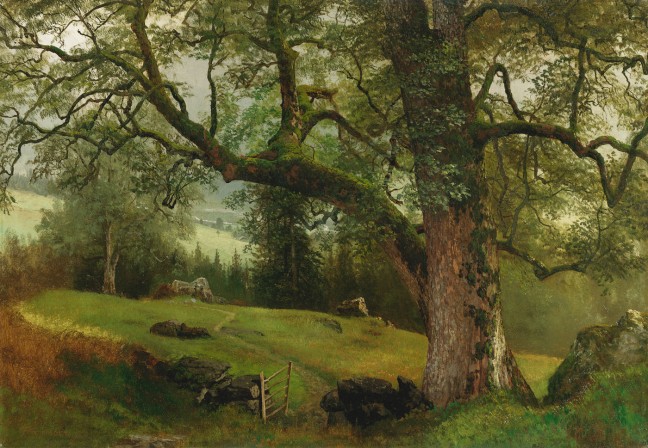 Bierstadt-A-Trail-through-the-Trees-648x448