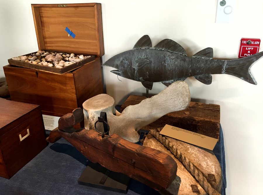 A circa 1900 codfish weathervane and a collection of shells<br>were among the miscellany of this tabletop display.