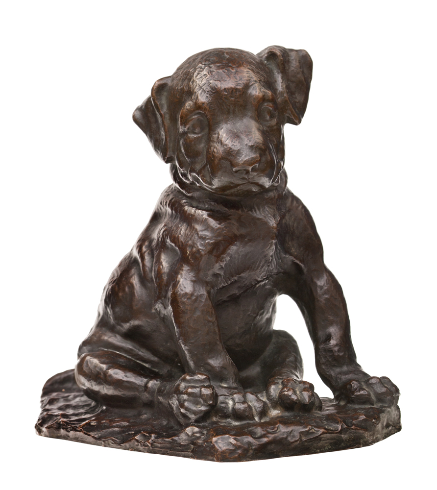Snuff-Bronze-dog-front