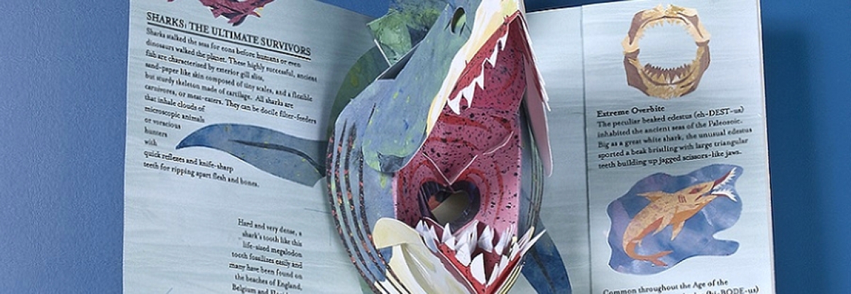 Sharks and other Sea Monsters, oversized Japanese Pop-Up web slider