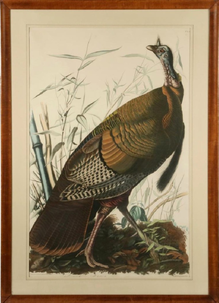 Plate I, “Wild Turkey, Male” from Audubon’s Birds of America (shown) sold for $46,800 even though was trimmed on one side. Its mate, Plate VI, “American Hen and Young,” sold separately, bringing $36,270. Both were double elephant folios from the first London edition and together, were the highest priced items in the three-day sale.