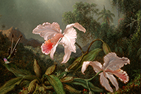 Flora/Fauna: The Naturalist Impulse In American Art
