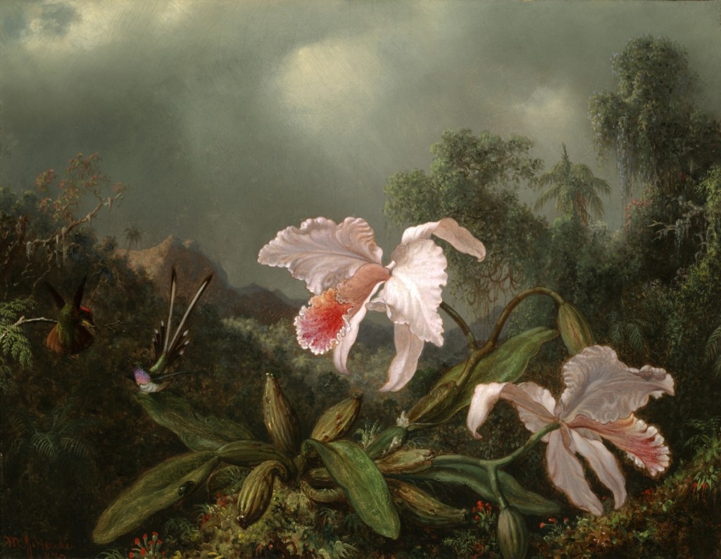 “Jungle Orchids and Hummingbirds” by Martin Johnson Heade (1819–1904), 1872. Oil on canvas, 18¼ by 23 inches. Yale University Art Gallery, Christian A. Zabriskie and Francis P. Garvan, BA, 1897, MA (Hon.) 1922, Funds.