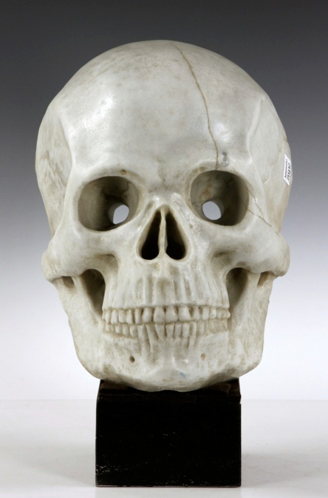 Kaminski skull