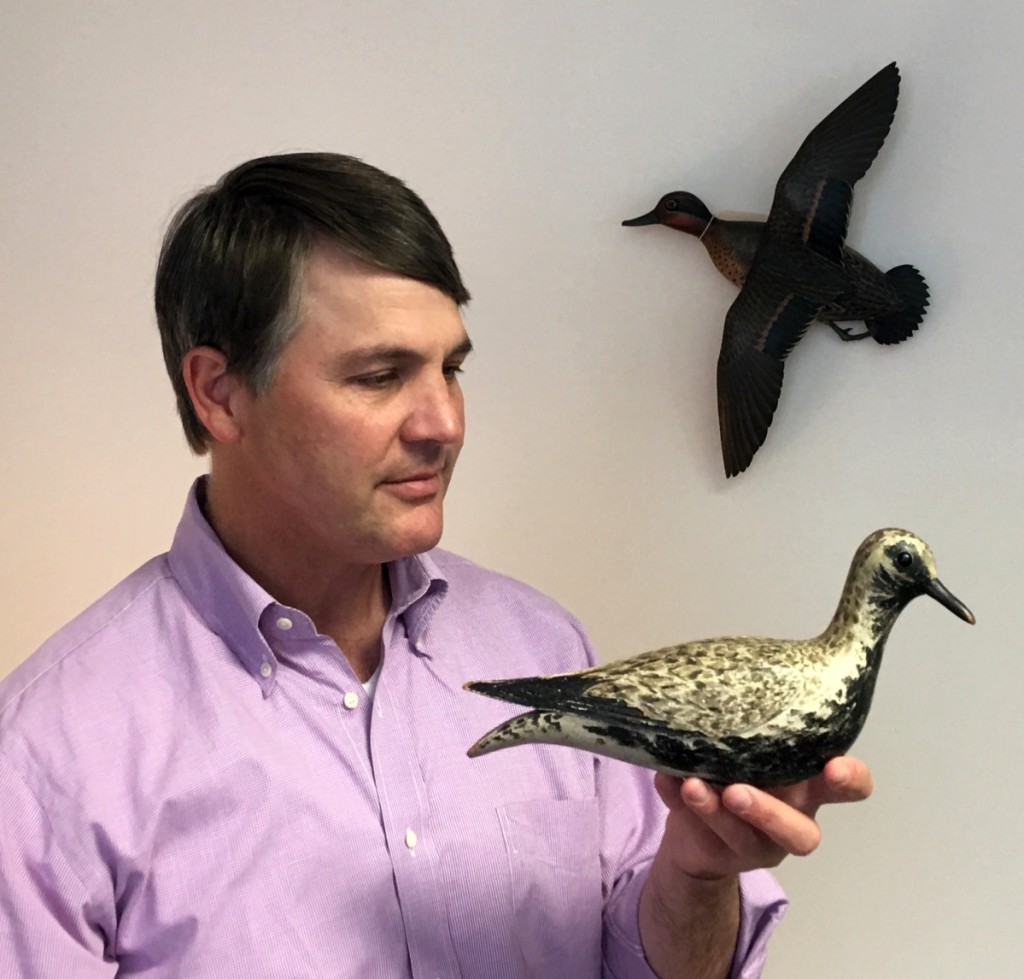 Stephen B. O’Brien Jr appreciates the exceptional paint and feather detail on one of Crowell’s finest “dust jacket” black-bellied plovers, circa 1900.Photos courtesy Copley Fine Art Auctions