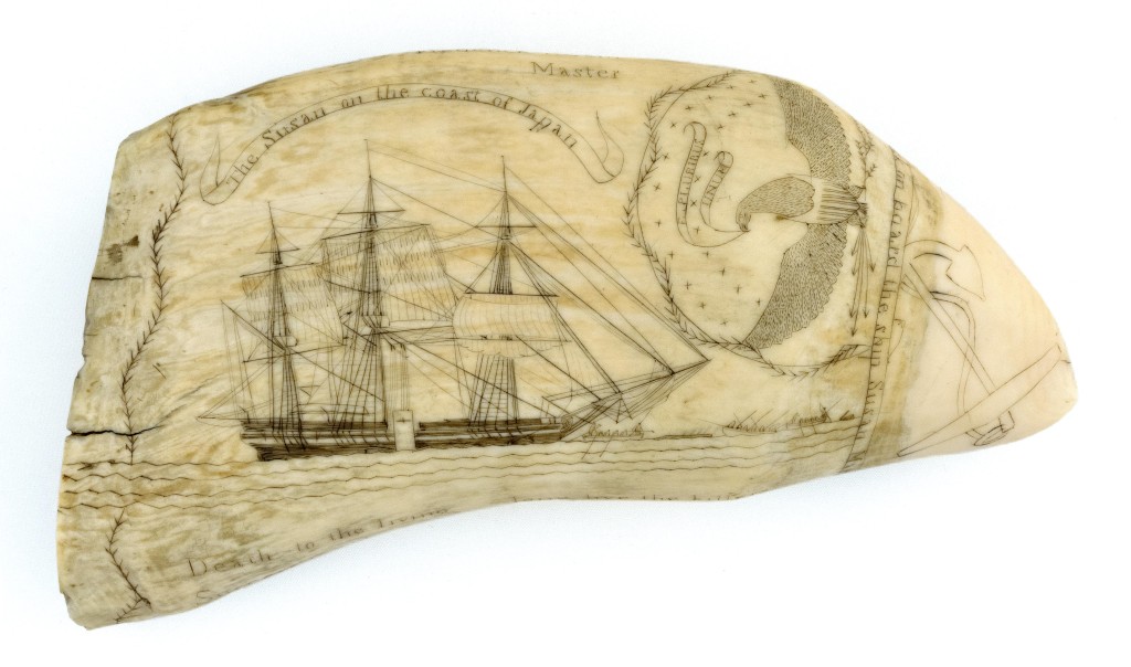 Considered by many to be the “holy grail” of scrimshaw collecting, only about 32 teeth (some say 37) were engraved by Frederick Myrick while on board the Nantucket whaleship Susan. This one has active whaling scenes on both sides and titles that identify the scenes. It was dated 1829 and sold to a bidder in the room for $120,000. Susan’s teeth are described in several books on scrimshaw. Myrick does not appear to have produced any scrimshaw other than that done on this voyage.