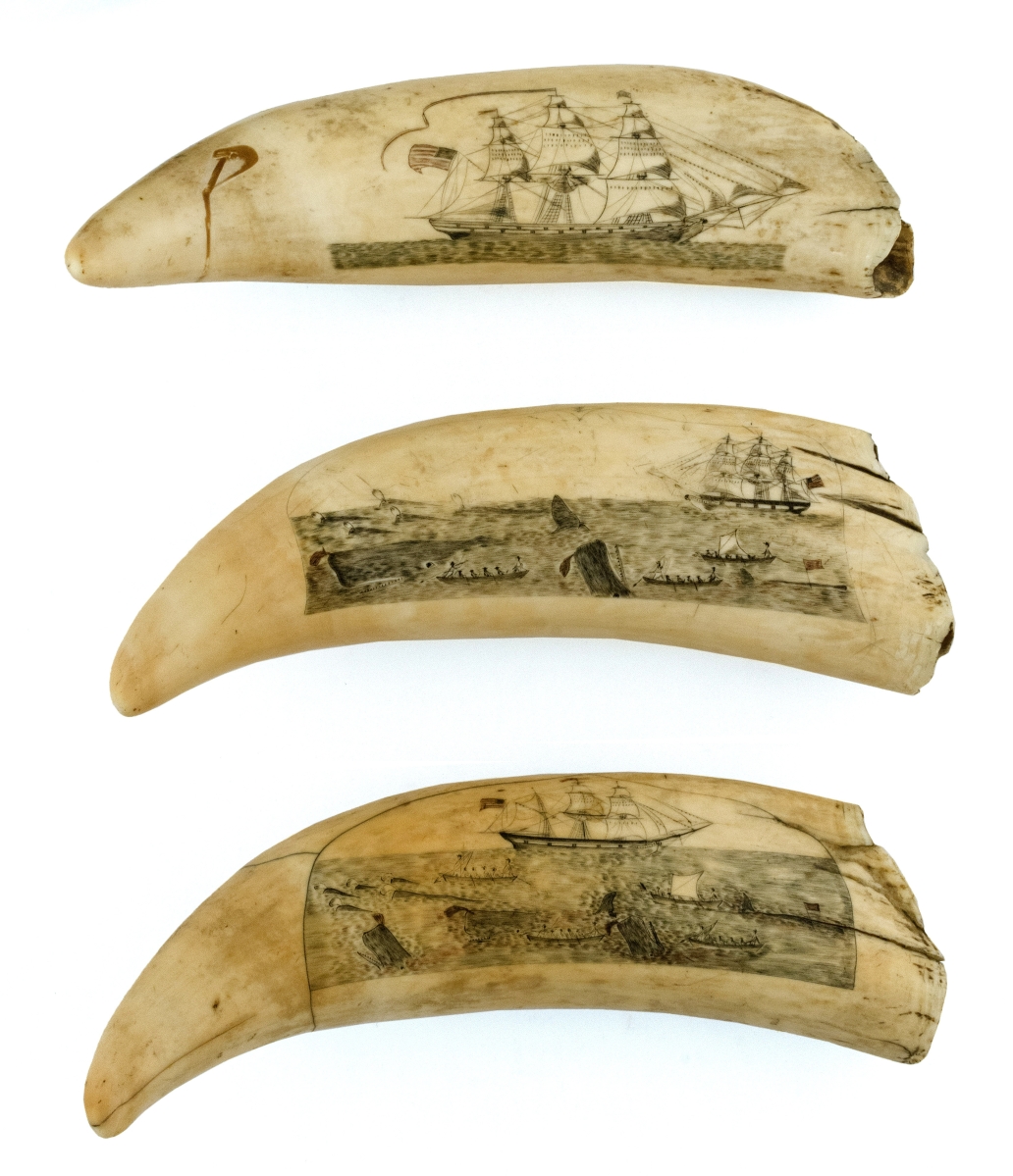 Attributed to the “Arch Engraver,” these three teeth achieved the second highest price of the sale, $240,000. The teeth are from the same jawbone and the scenes on them correlate with one another. They depict closeup views of whales being captured, detailed images of whaleboats and their crews, an American flagged whaleship, etc. From the Mittler collection, the teeth, were discovered individually and assembled as a set for the first time in this collection.
