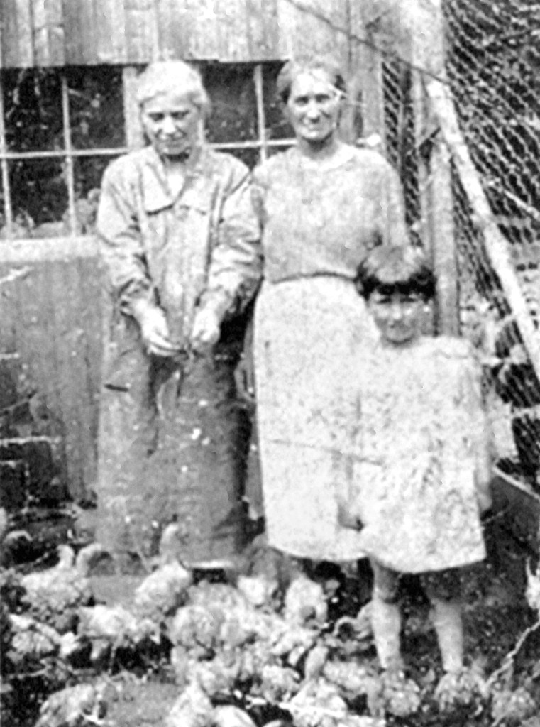 Steve German’s great-grandmother, Clara Weintraub, is at right in this photograph taken around 1927. The little girl at her side is Steve’s mother, Sylvia Linder. Peeking through the chicken wire is Sylvia’s twin, Rose, and her cousin, Eddie Moskowitz, whose mother is at left. Like almost everybody else in Montville, the village in the town of Sandisfield, the family raised chickens and sold eggs.