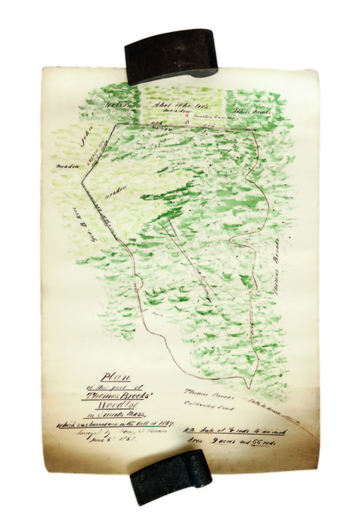 Henry David Thoreau supported himself through much of his life as a land surveyor, and copies of several of his manuscript surveys are in public collections in Concord, Mass. Few used color. One of three in this sale did. It was a survey of part of a woodlot in Lincoln, Mass., that burned in 1857. It showed fences, stonewalls, etc, and it realized $28,290.                   —Skinner’s Book Sale