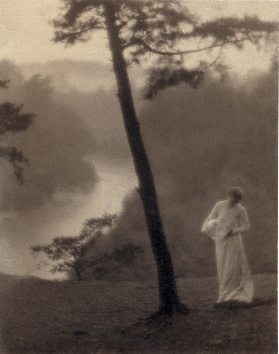 “Morning,” 1905, printed after 1917, gum bichromate on palladium print. Library of Congress. Purchase, 1926 (PH — White (C.), no. 30, A size).