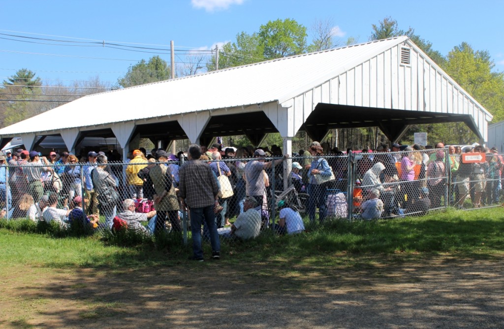 Back To Brimfield! After A Seemingly Endless Winter, Shoppers Revel In The MegaMarket’s Ample