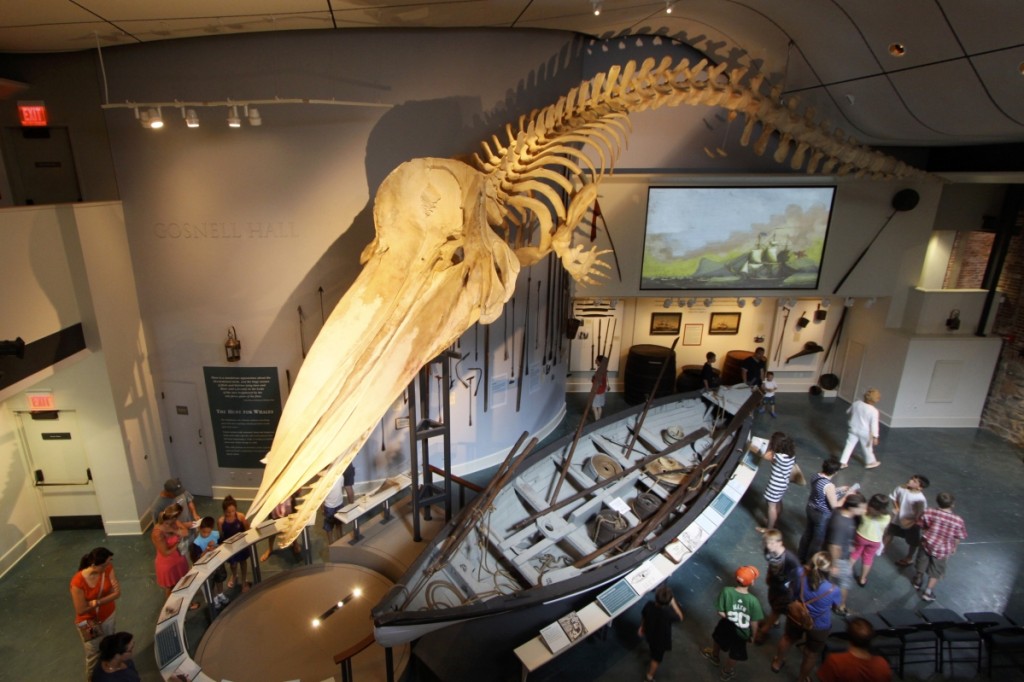 A 46-foot sperm whale skeleton at the Nantucket Historical Association Whaling Museum.