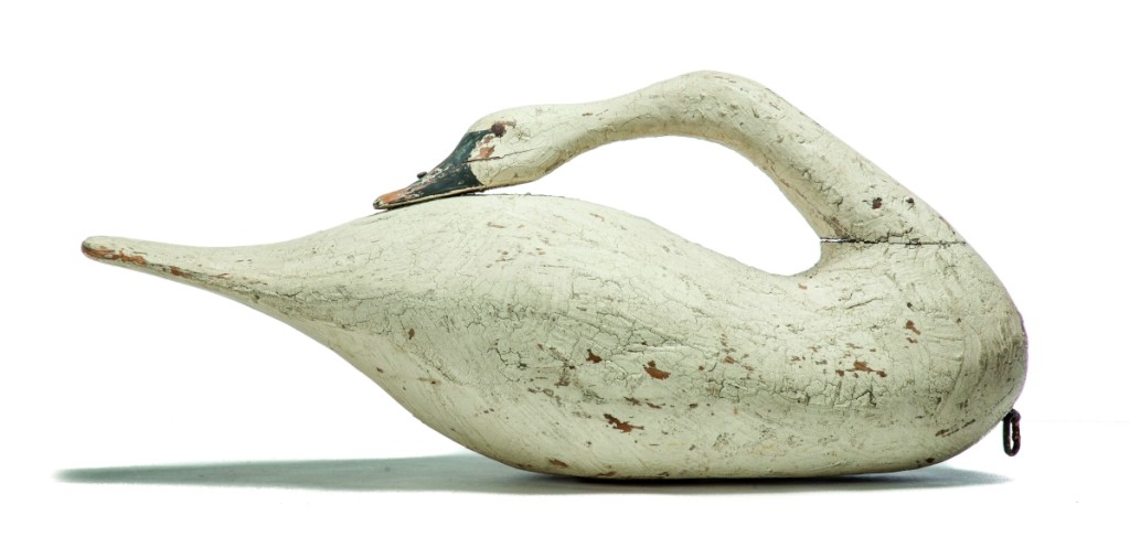 AB Garth's Swan