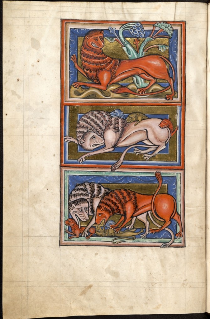 Bestiary, English, about 1225–50. Parchment, leaf 11-5/8 by 7½ inches. Collection of The Bodleian Libraries, University of Oxford.