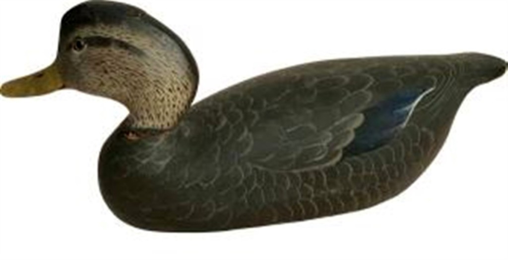 This black duck hen was made by the Ward Brothers to the order of Dr Davenport West. The brothers, of Crisfield, Md., were among the few carvers to differentiate black duck drakes from hens by using different colors for the bills of each. This hen brought $15,000.