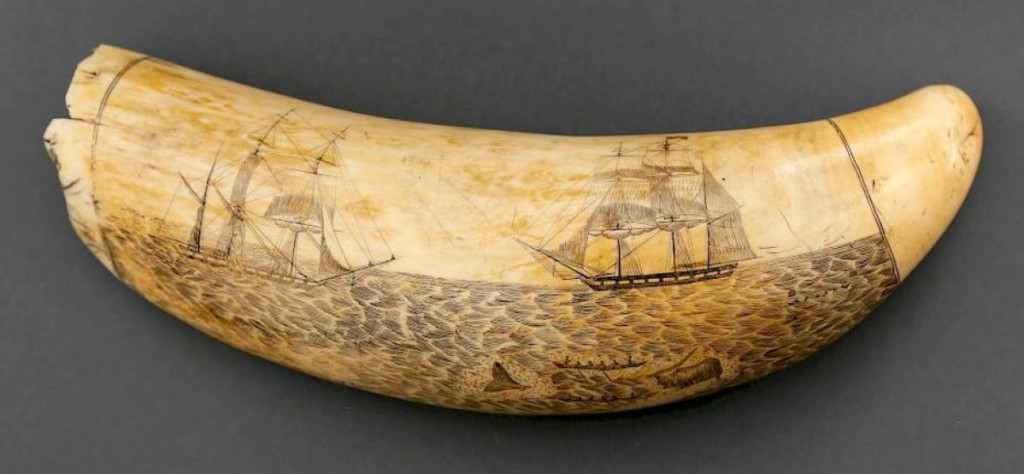 The highest lot in the sale was this engraved tooth by William Lewis Roderick, which brought $75,640. Roderick was a Welsh physician who served as a ship’s surgeon on three London South Sea whaling voyages aboard the Adventure, all between 1847-56, when this tooth is believed to have been carved. Note the delicate detail to the choppy water and the sails on the barks.