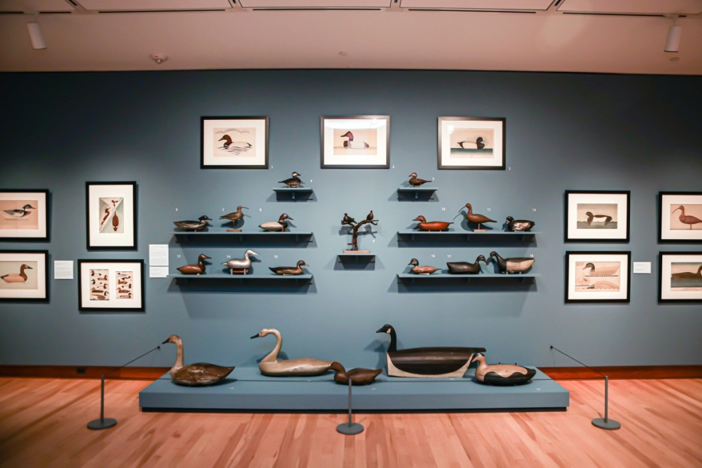 Display of various decoys in the gallery at Shelburne Museum where the exhibition “Joel Barber & the Modern Decoy” is on view through January 12, 2020. Image courtesy Shelburne Museum.