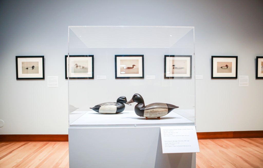 From left, Chauncey Wheeler blue bill decoy with Henry Kilpatrick decoy. Image courtesy Shelburne Museum.