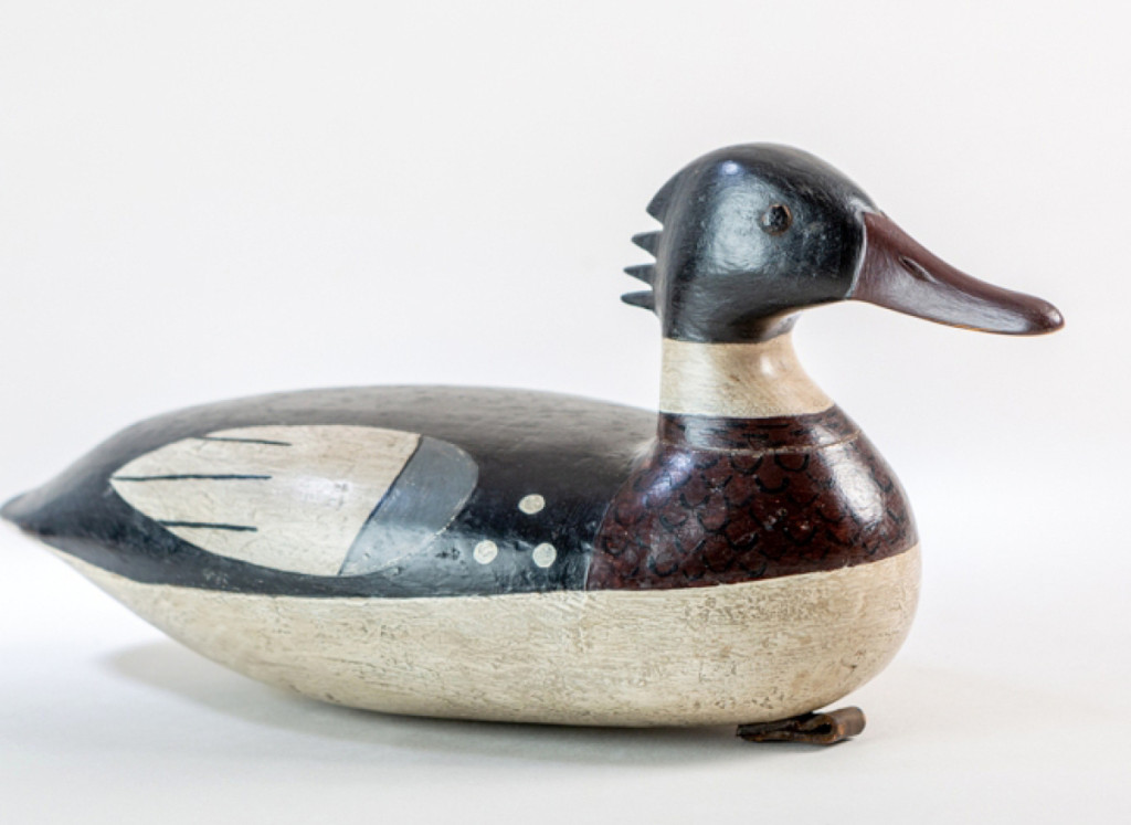 Red-breasted mergansers are carnivorous diving ducks. They have fine serrations along their bill, which help them to hold onto fish. Hunters liked to hunt them not for their taste, but because they were viewed as intelligent adversaries. Red-breasted merganser decoy carved by Harry V. Shourds (1861-1928), Tuckerton, N.J., circa 1880s. White cedar (hollow-carved). Collection of New Jersey State Museum.