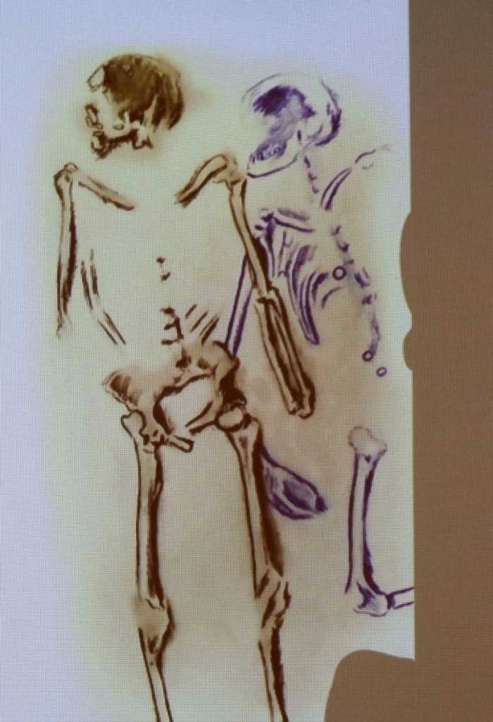 This composite sketch shows two of the discovered skeletons, which were co-mingled, one on his back. The robust adult men were lying in an east-west orientation (customary of an Eighteenth Century Christian burial) in a grave that appears to have been hastily dug. The two skeleton remains were not clothed.
