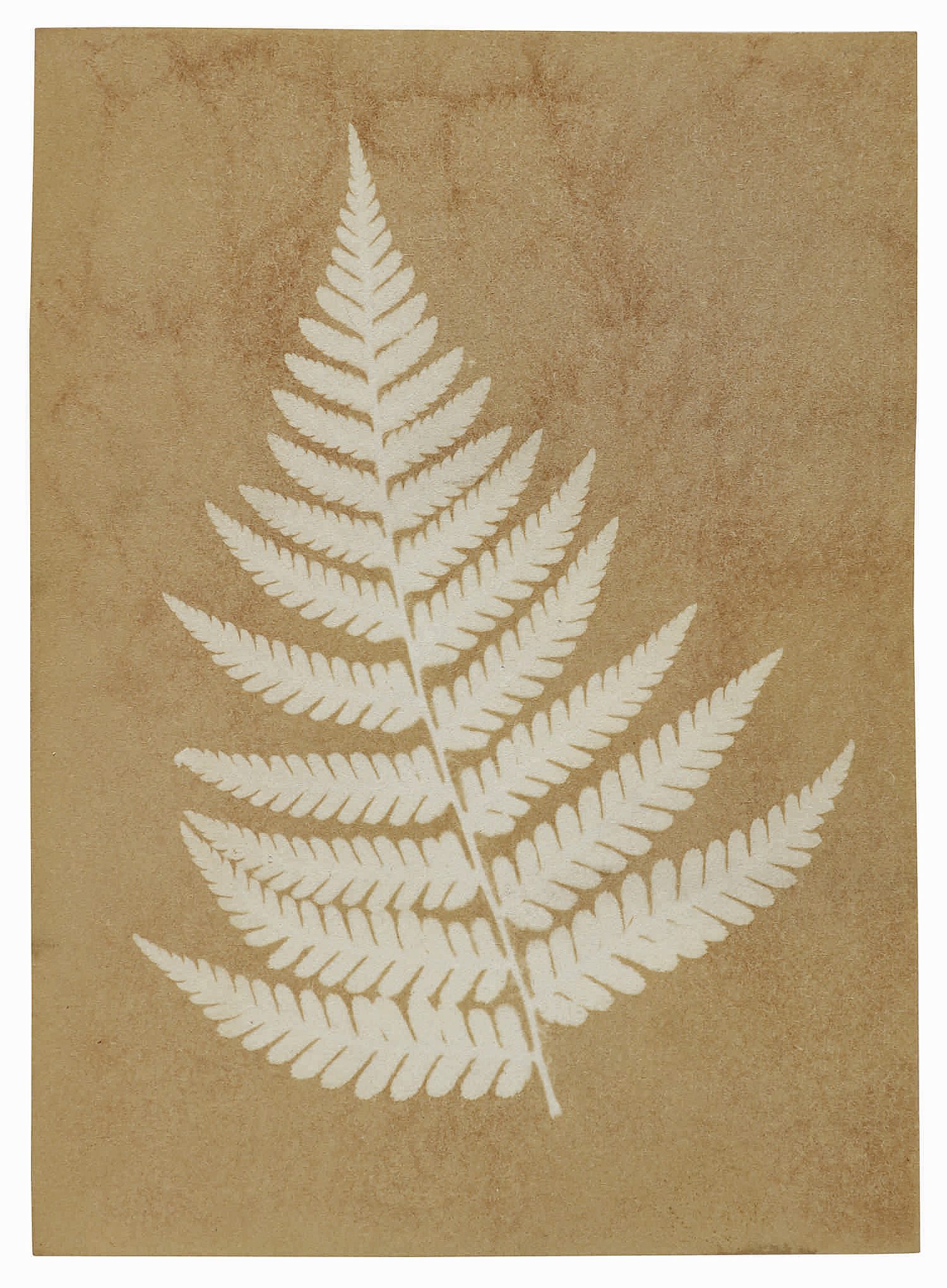 What is considered the earliest dated photograph, a December 2, 1839, image of a fern taken by the “Father of British Forensics” Alfred Swaine Taylor, was bid to $8,750.