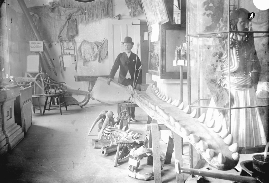 The museum at the Nantucket Atheneum in the 1880s.   Courtesy of the Nantucket Historical Association, image no. GPN499.
