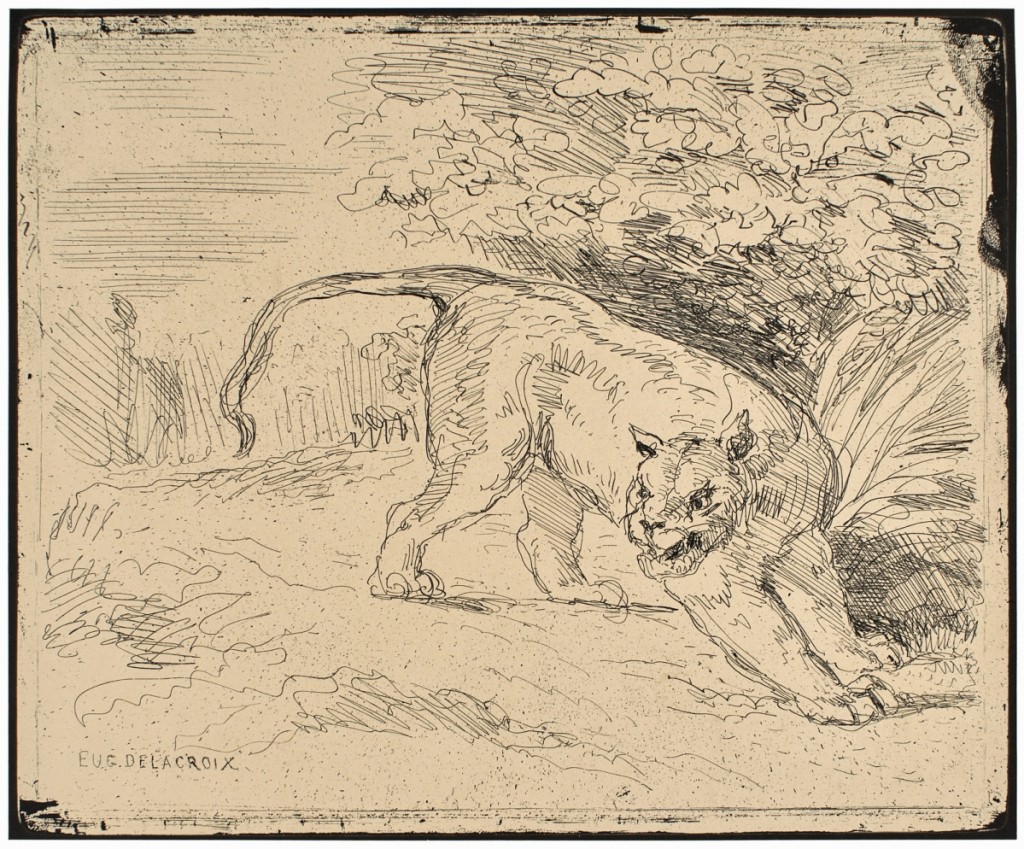 Eugène Delacroix (French, 1798-1863), “Tiger at Bay (Tigre en arrêt),” 1854, printed 1921.