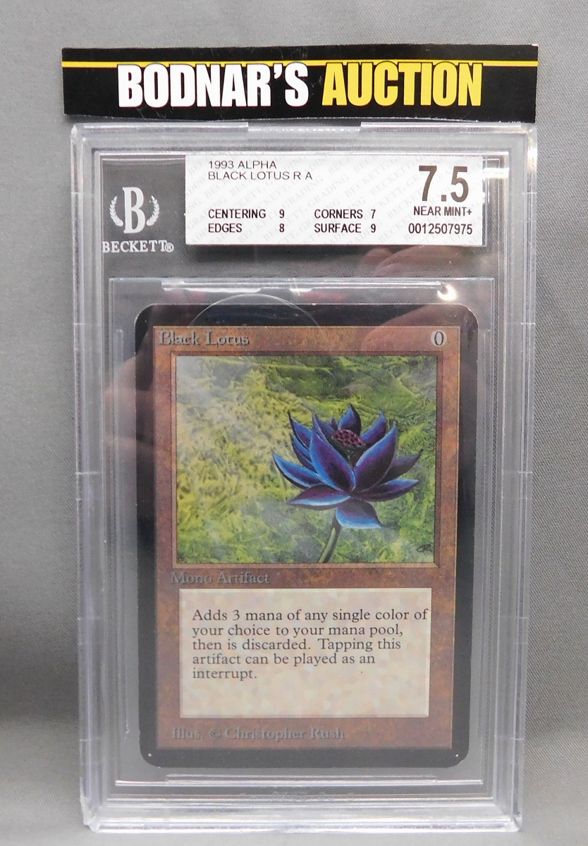 AB Bodnar's card